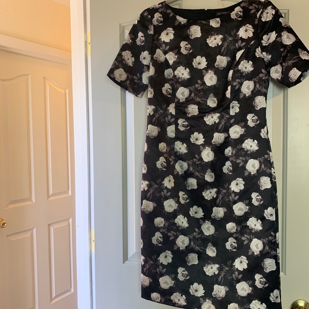 365 Brooks Brothers Dress 2